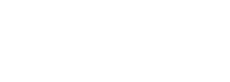 Acely.ai
